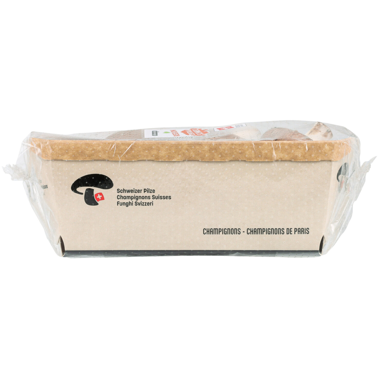 Champignons braun -