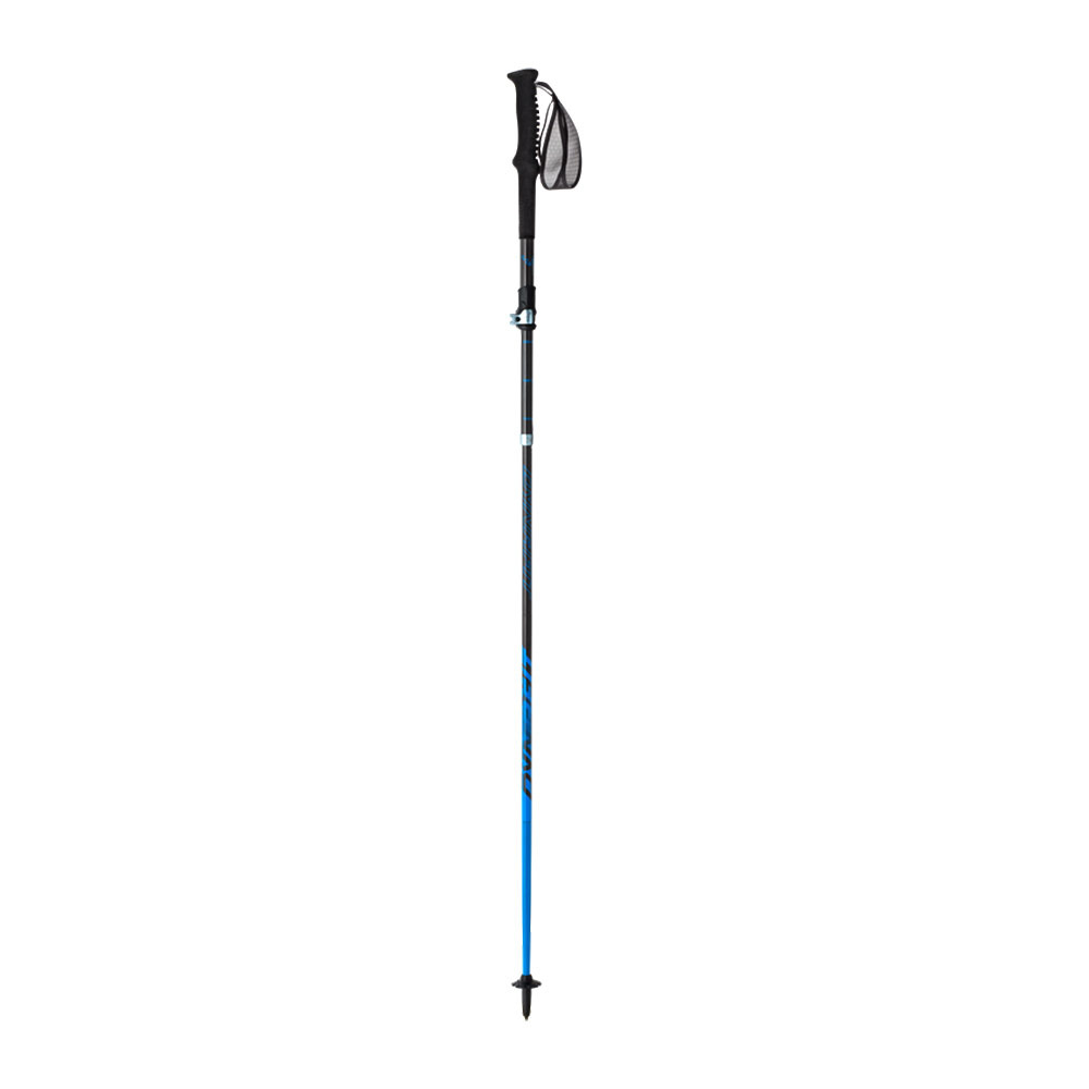 Dynafit ULTRA PRO - Bâtons trail carbon/methyl blue