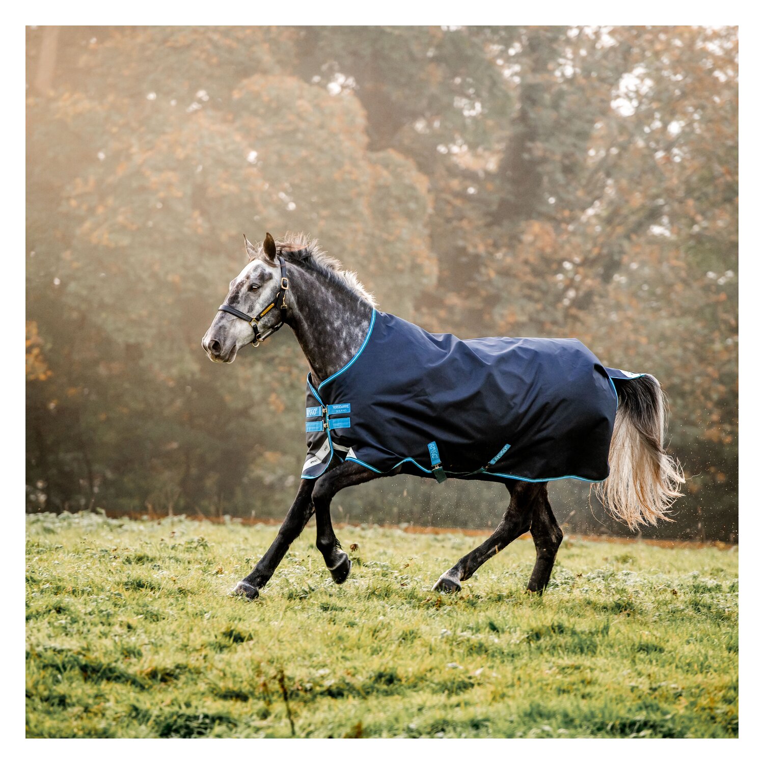 Horseware Regendecke AMIGO Bravo 12 Lite 100 - navy/turquoise/check
