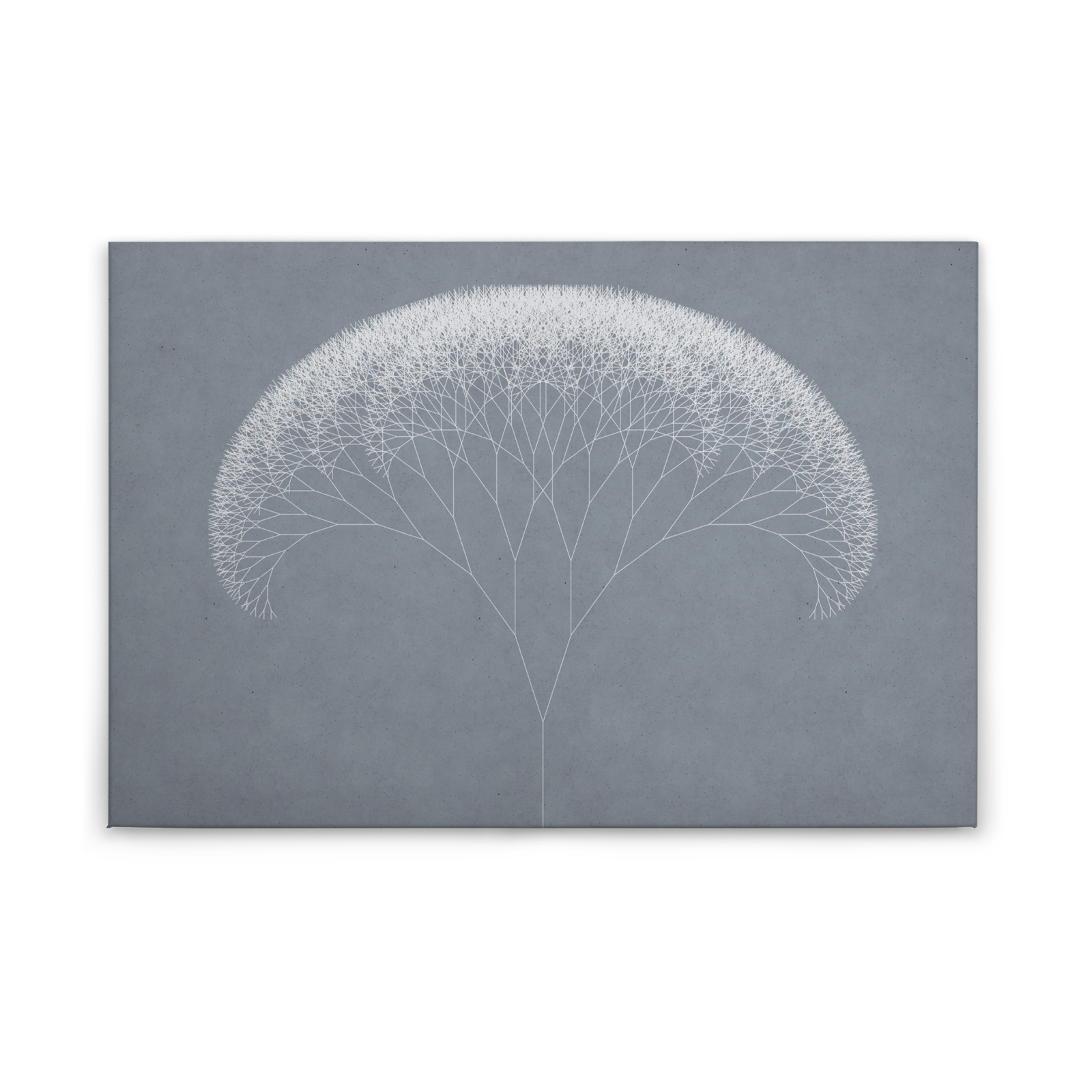 Leinwandbild PUSTEBLUME - dunkelgrau-weiß - 90x60 cm