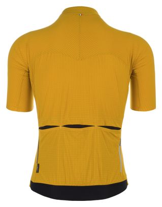 Maillot Manches Courtes Q36.5 Pinstripe PRO Jaune