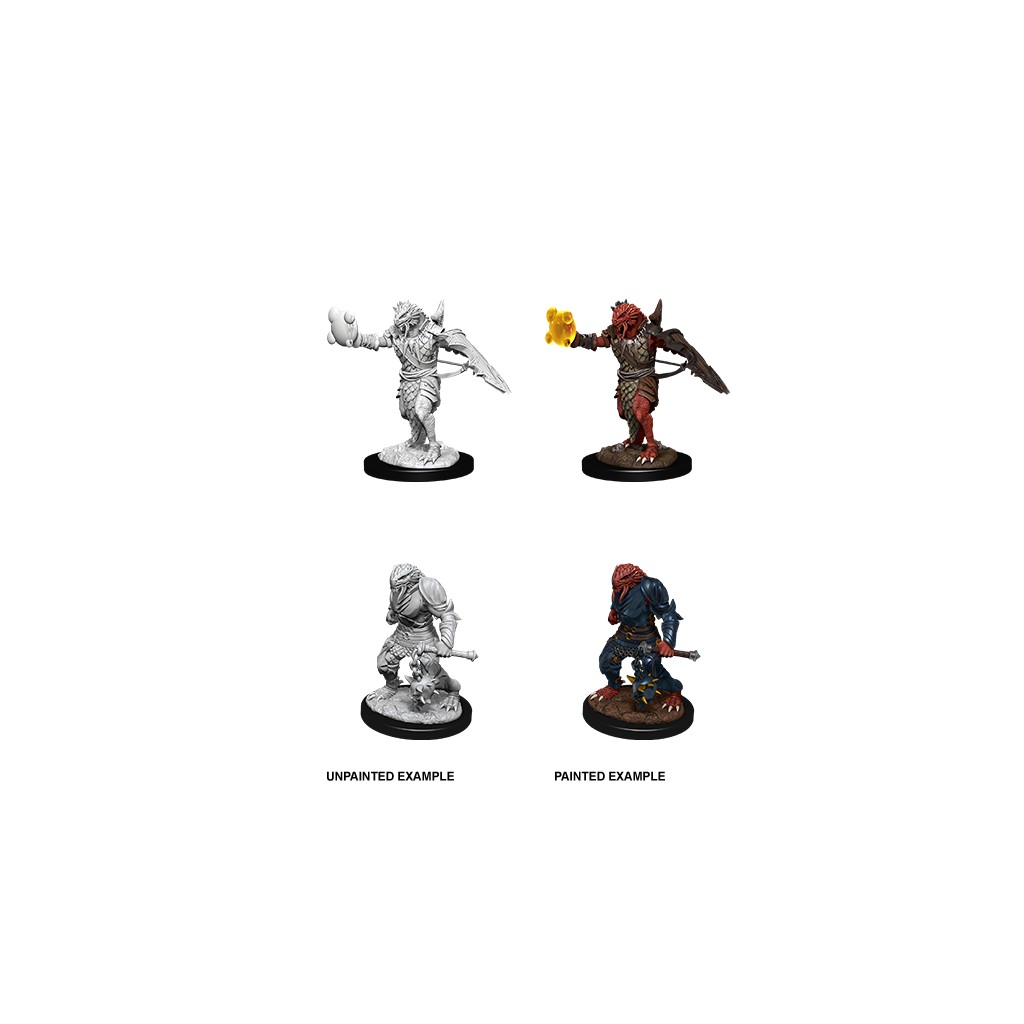 D&D Nolzur's Marvelous Unpainted Miniatures: Male Dragonborn Paladin