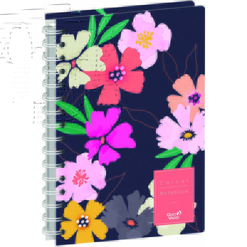 Quo Vadis - Carnet de notes - Spiralé - Daisy - Multicolore - Pages Points (dots) et lignées - 15x21 cm