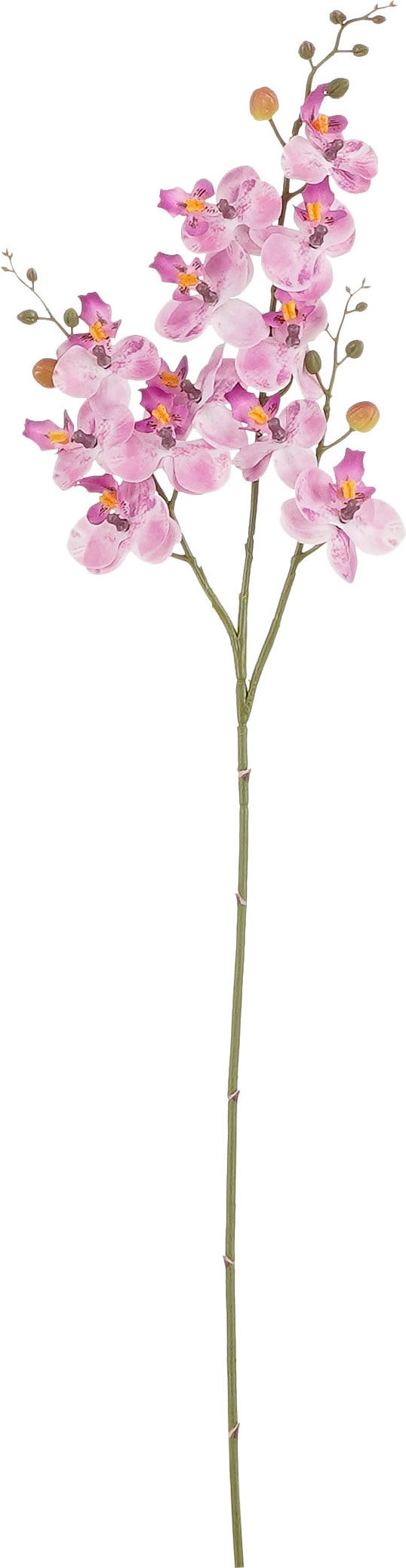 Mica Decorations kunstbloem Vlinderorchidee paars 75 cm