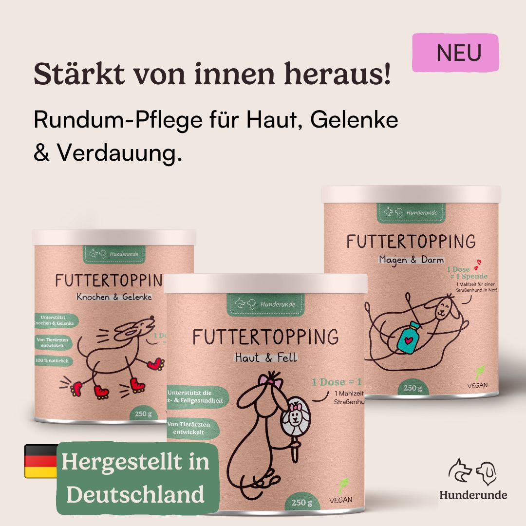 Hunderunde Vitalitäts-Set Haut, Gelenke & Darm