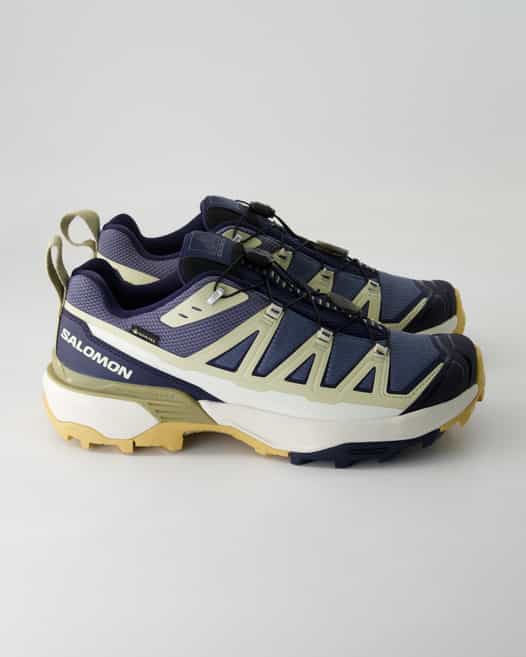 Salomon X Ultra 360 Wanderschuhe in Blau