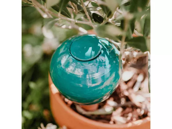 Ollas à planter en argile Medium
