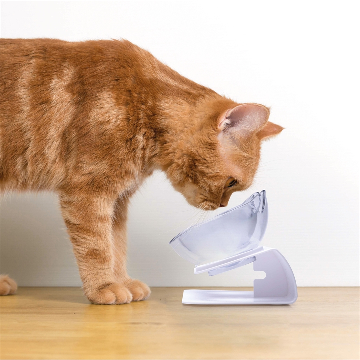 Duo gamelles surelevées forme chat