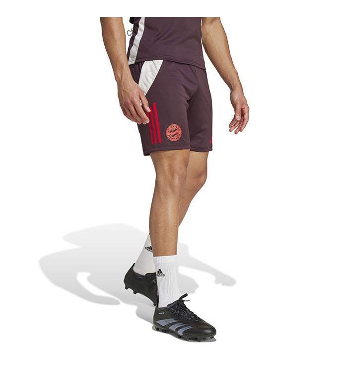 adidas Men FC Bayern Muchen Trainingsshort 2024/2025