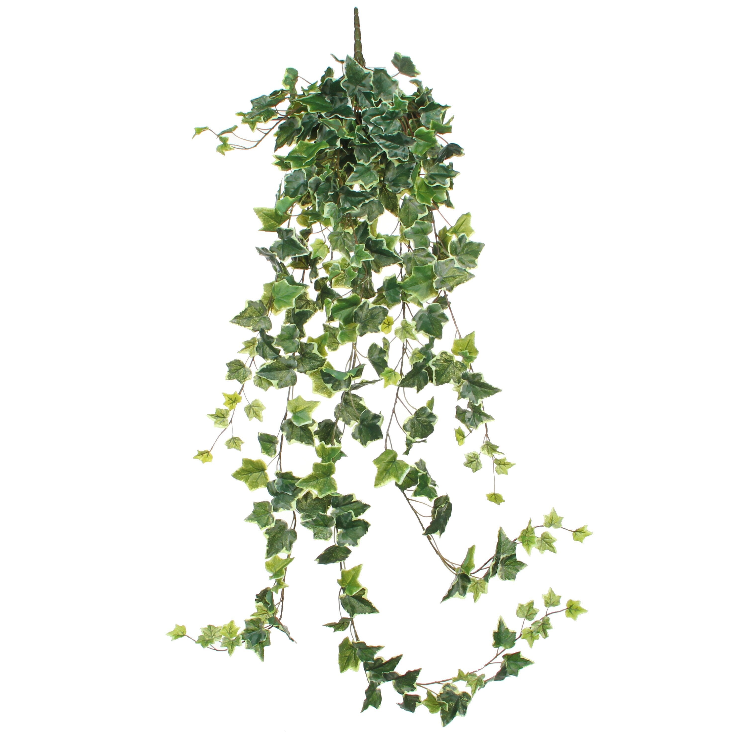 Mica Decorations Hedera hangend groen bont - l129xb30xh20cm