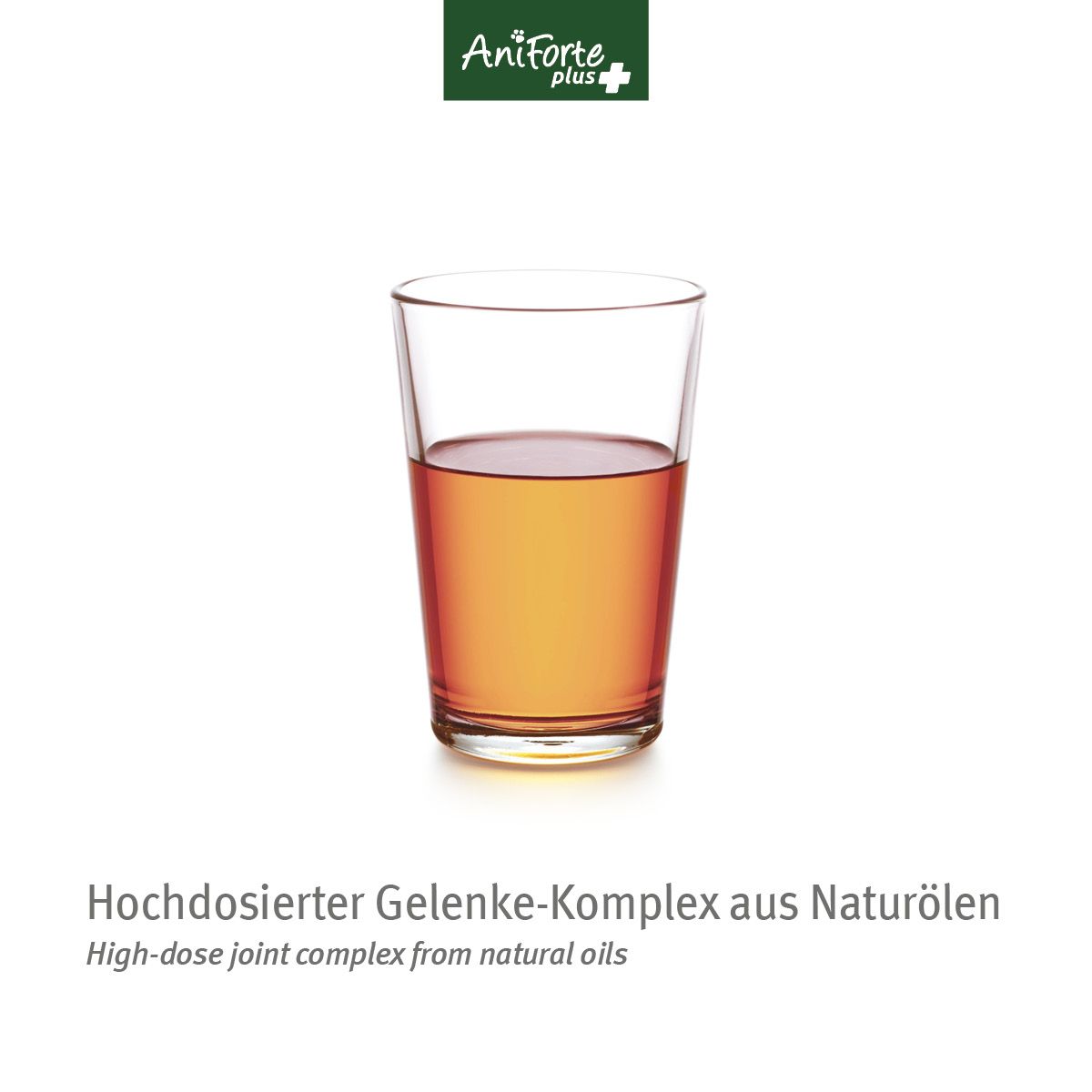 AniForte Plus Arthro Omega Öl