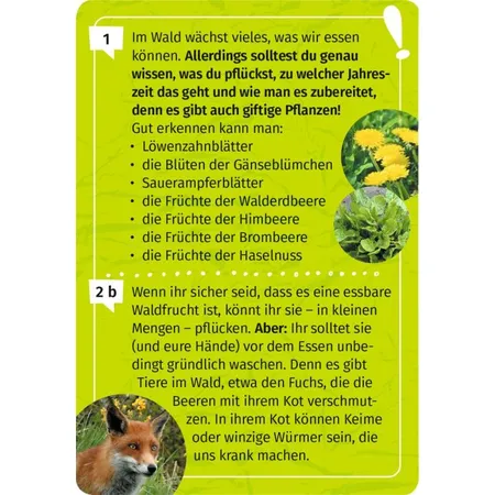 moses. Expedition Natur Mein Wald-Forscherquiz
