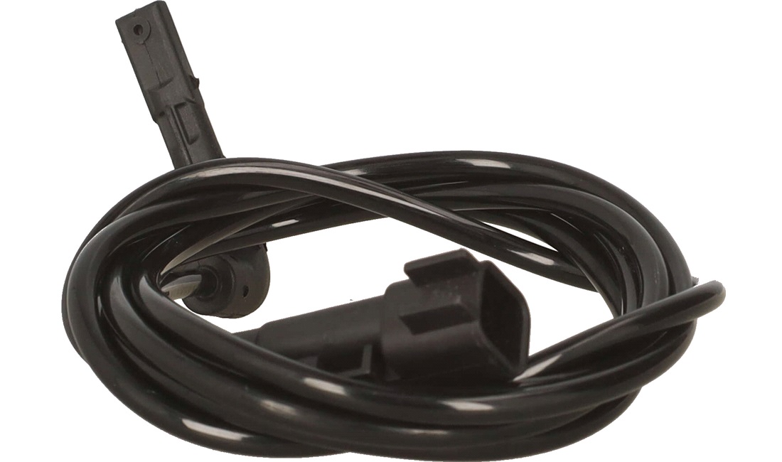 ABS sensor
