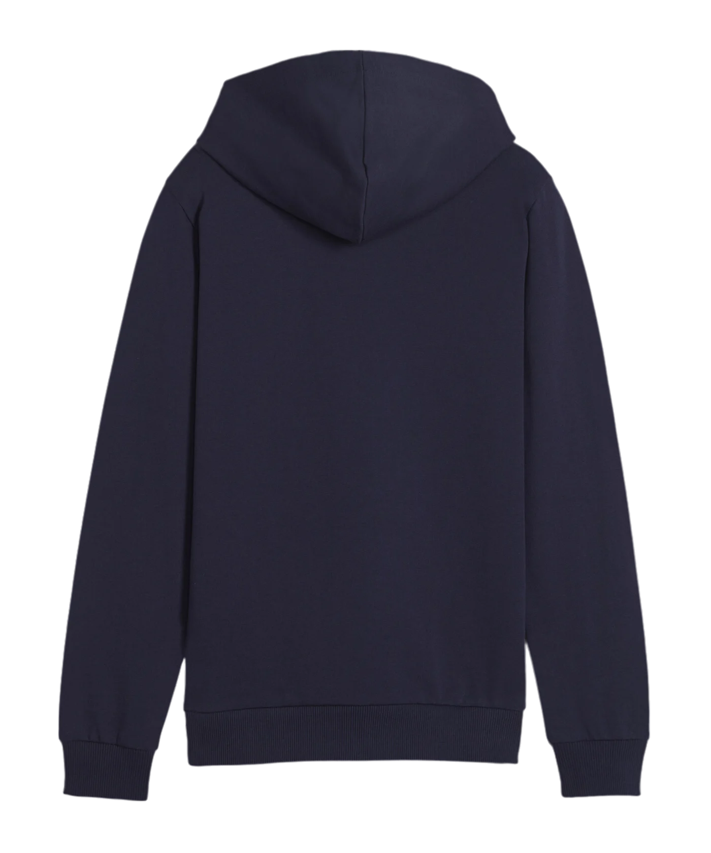 PUMA teamGOAL Casuals Hoody Kids Blau F06