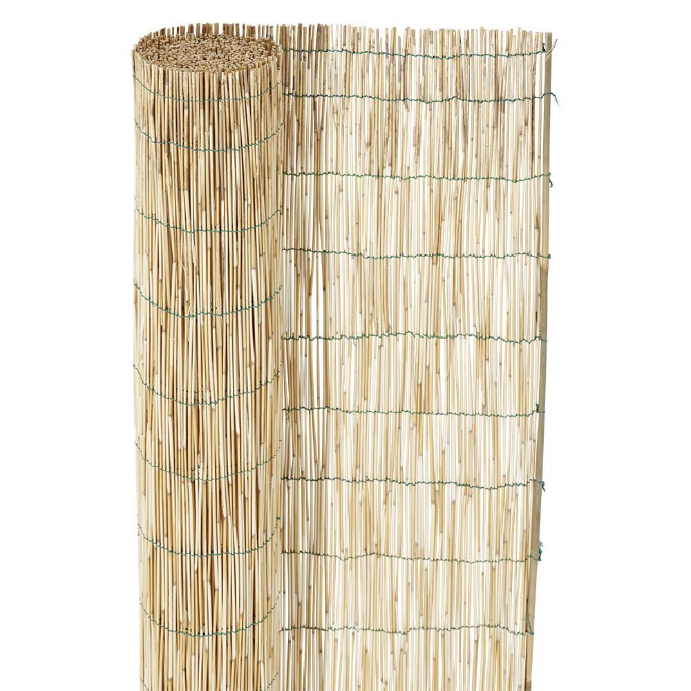 Canisse en paillon de roseaux pelés L500 x H150 cm