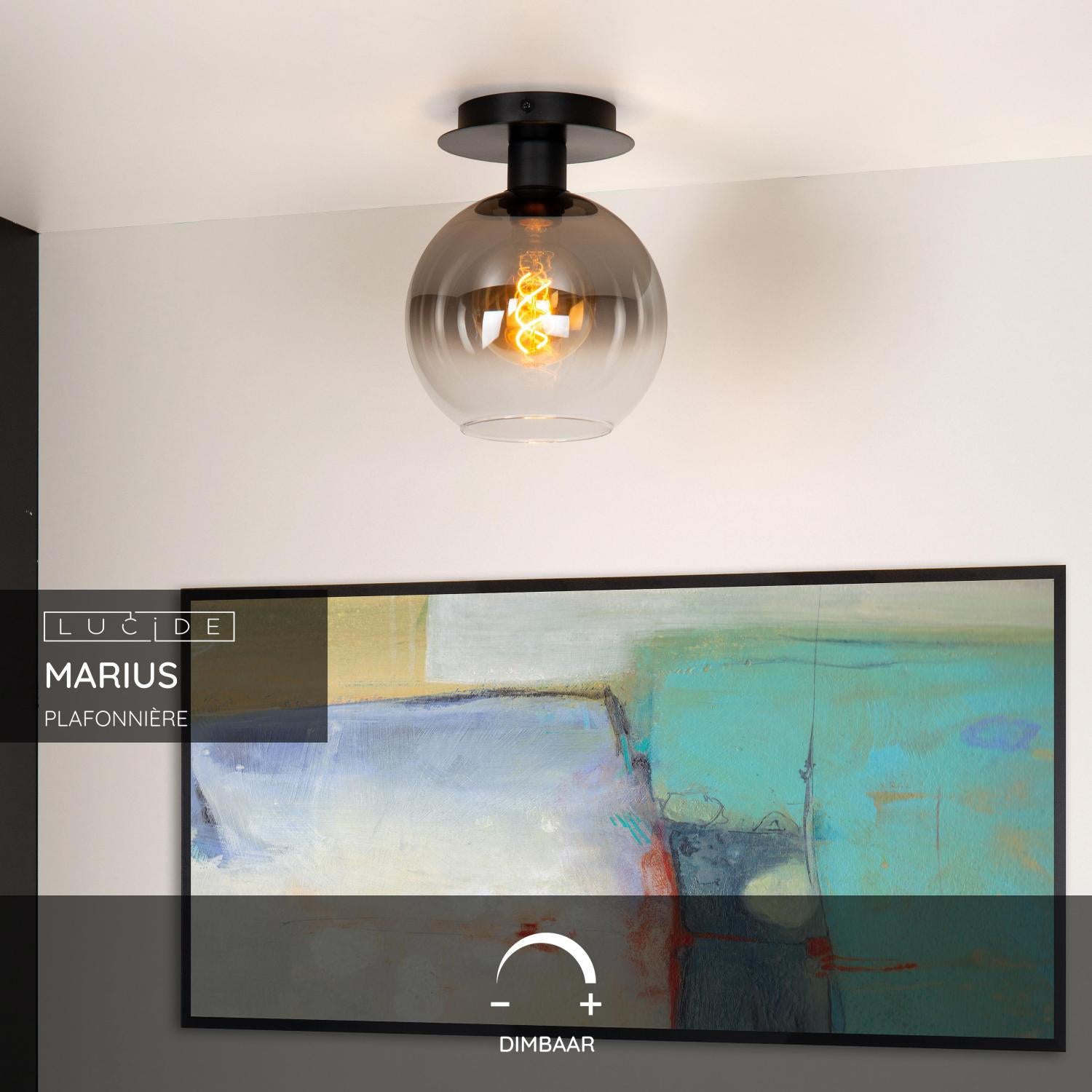 Marius 1 plafondlamp Ã20 zwart