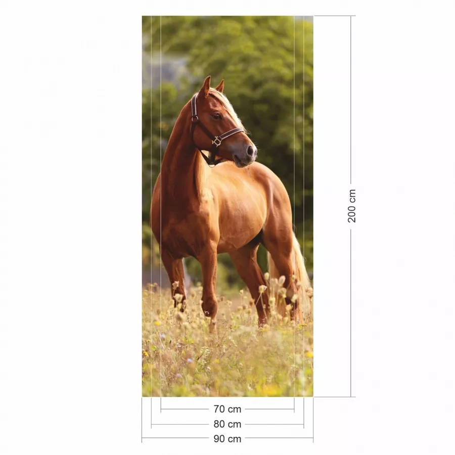 Nikima Türbild TB-12 selbstklebendes Türbild – Pferd Klebefolie bunt