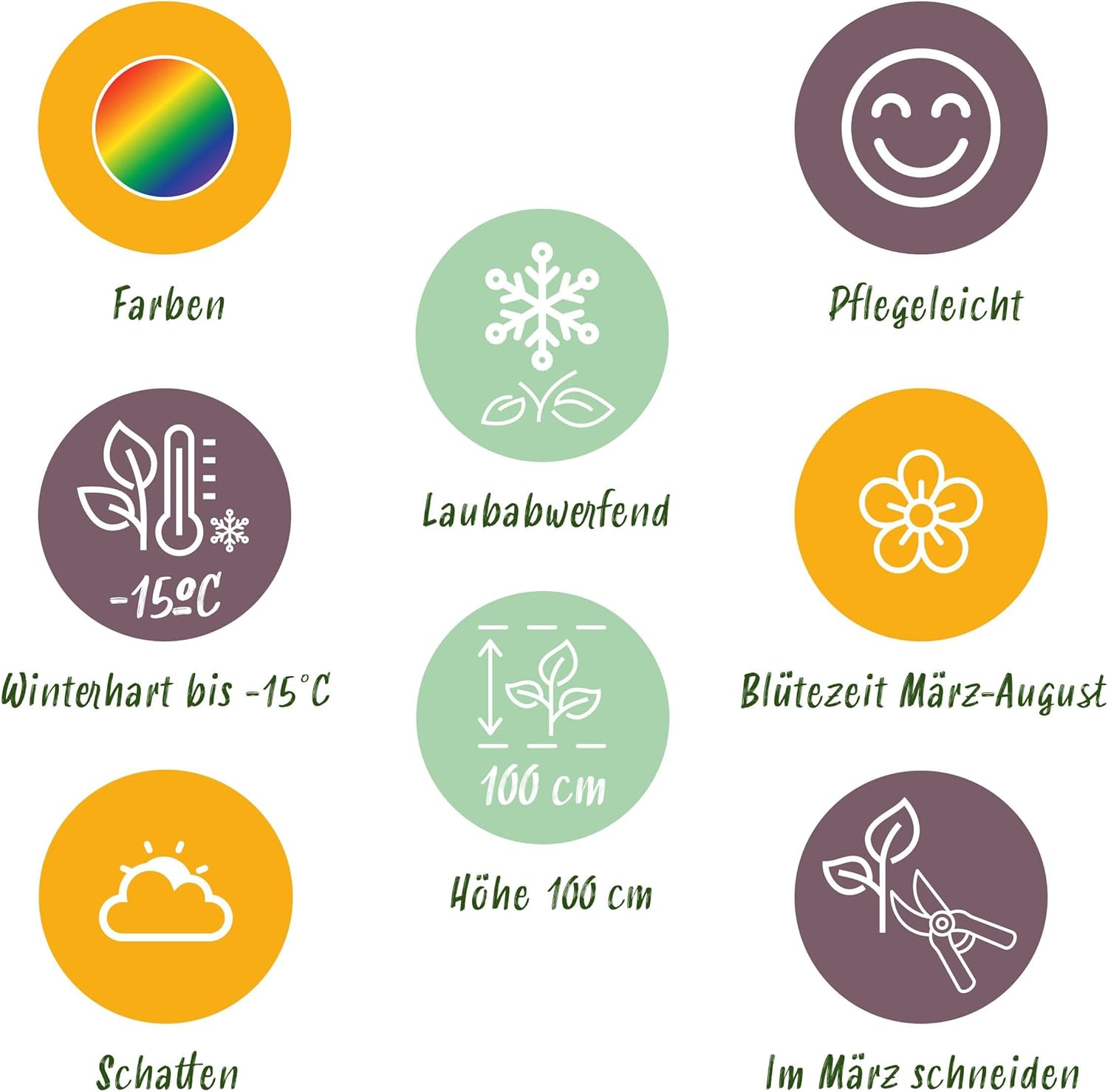 Staudenpaket - Schatten - 24 Stauden - Für 3 m2 - Verschiedene Farben - Wenig Pflege - 20-50cm - Ø11cm - Gartenpflanze