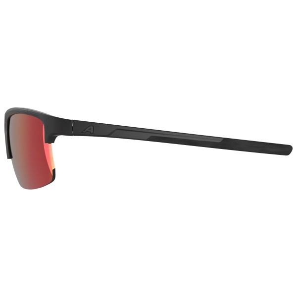 Alpina - Eagle Q-Lite Mirror S3 - Lunettes de soleil