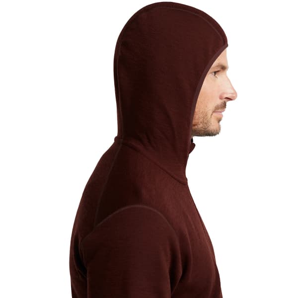 Veste polaire ICEBREAKER ELEMENTAL LS ZIP HOOD ESPRESSO