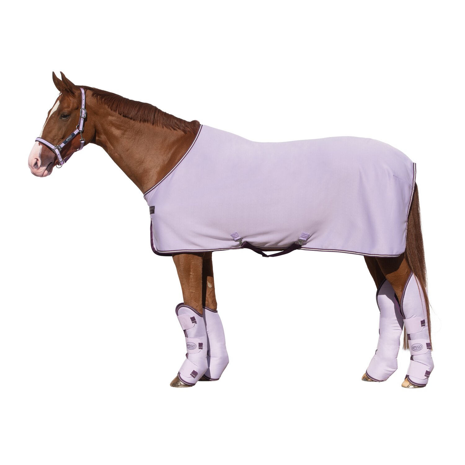 HORSEWARE Abschwitzdecke AMIGO Jersey Cooler  - lavender