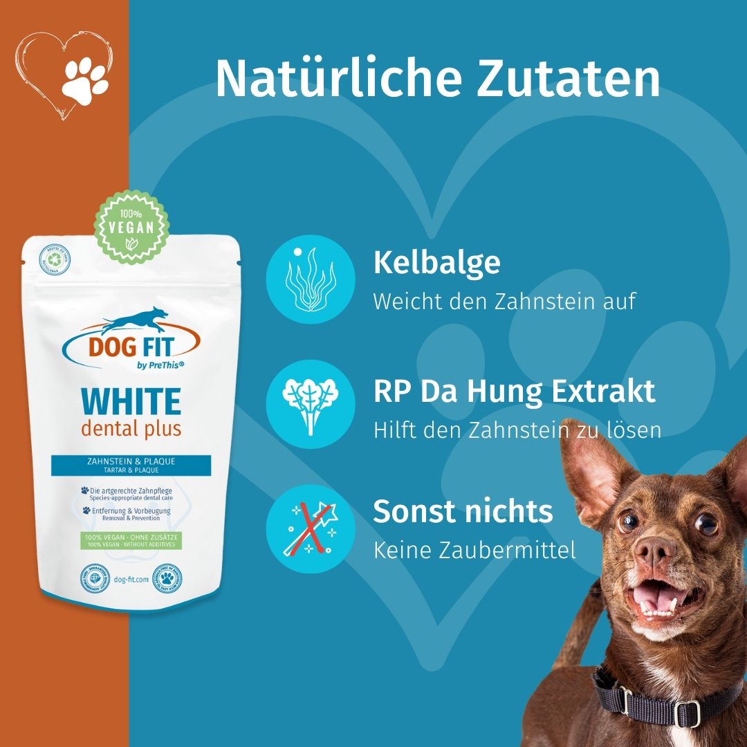 DOG FIT by PreThis® WHITE dental plus » Zahnsteinreduzierung & Zahnpflege für Hunde