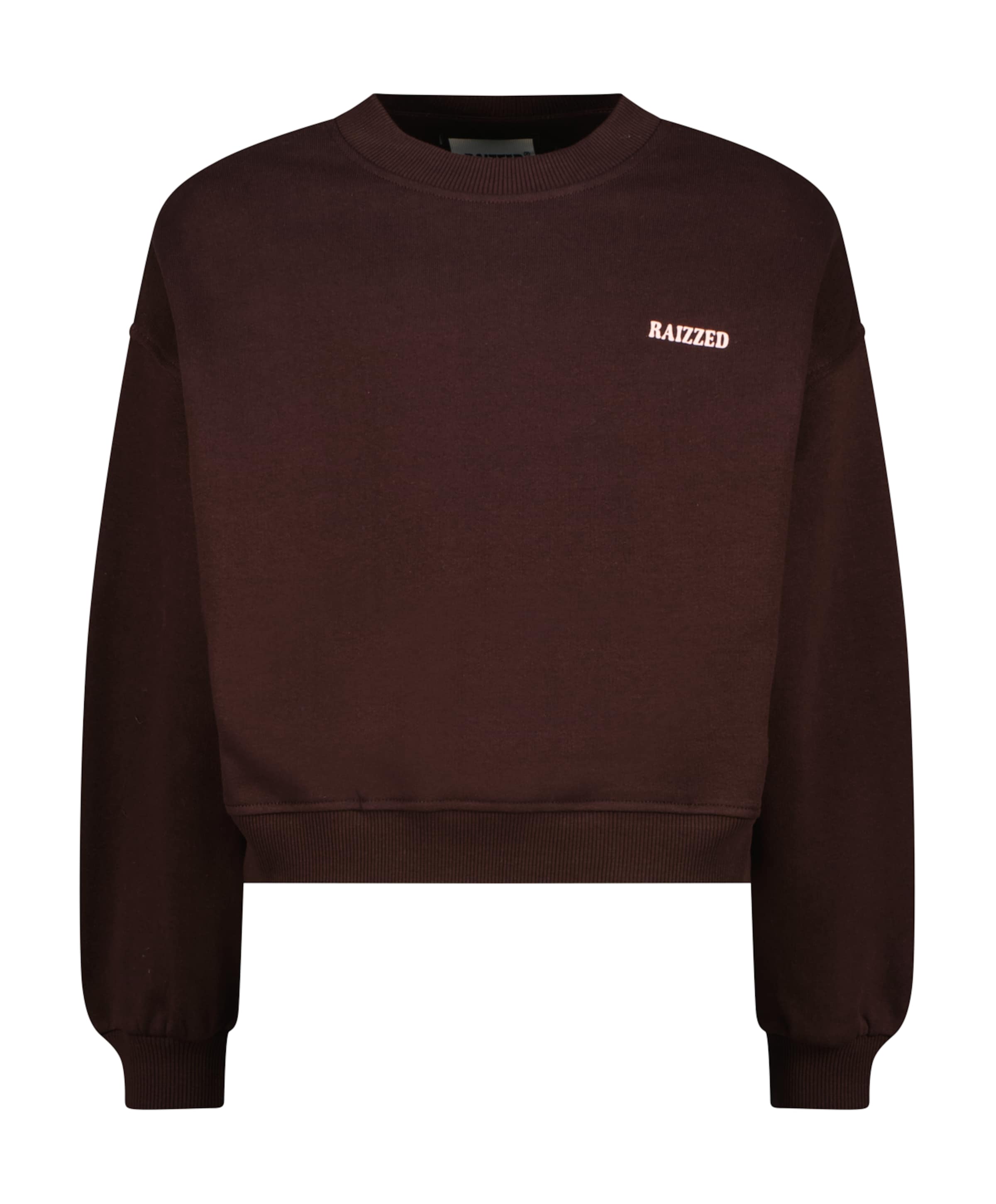 Raizzed Meisjes sweater bruin
