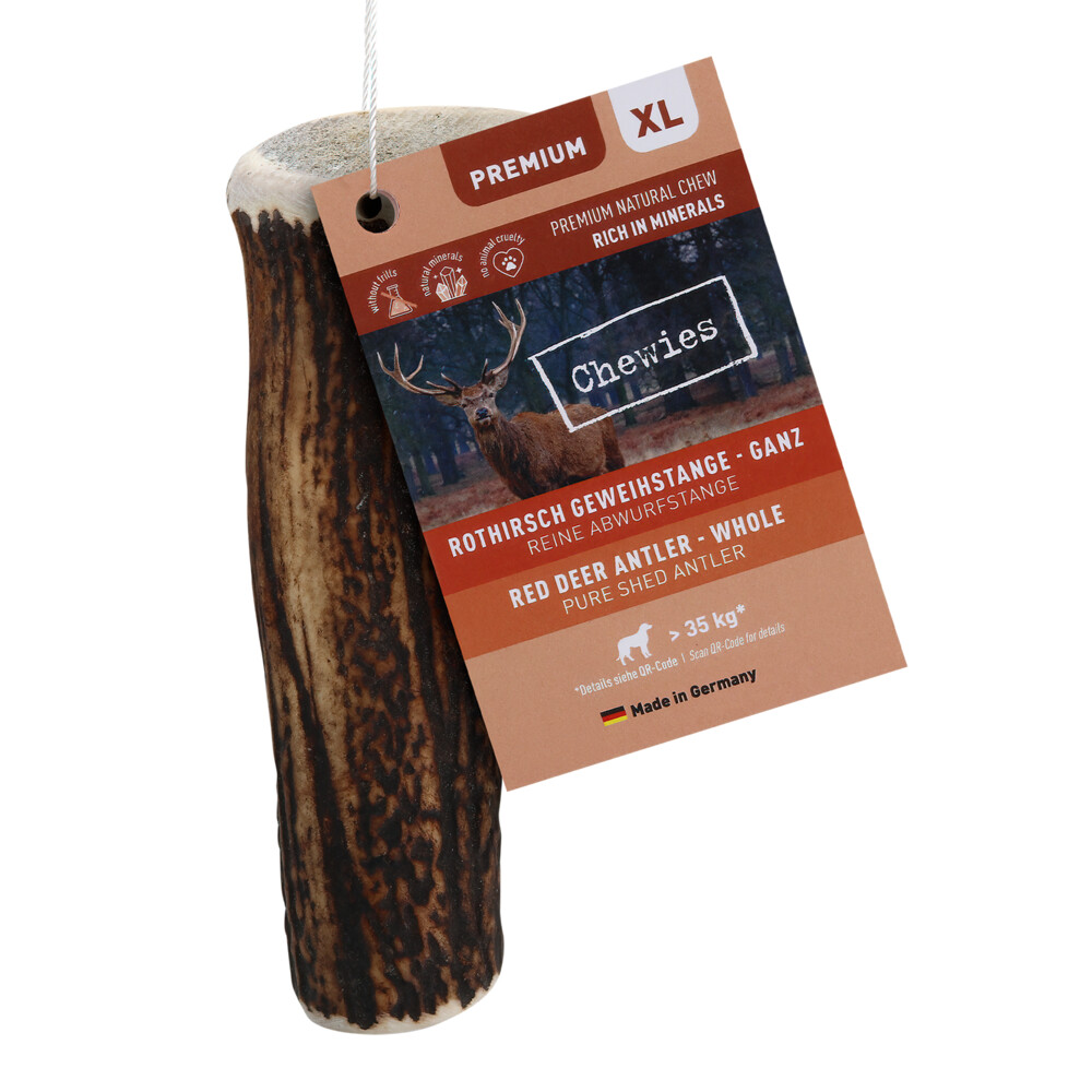 Chewies Edelherten Gewei Stang XL250 gr