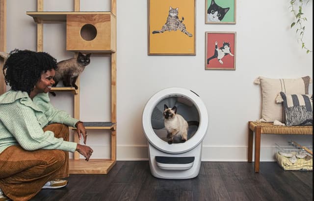 Whisker Litter-Robot 4 automatisk kattebakke