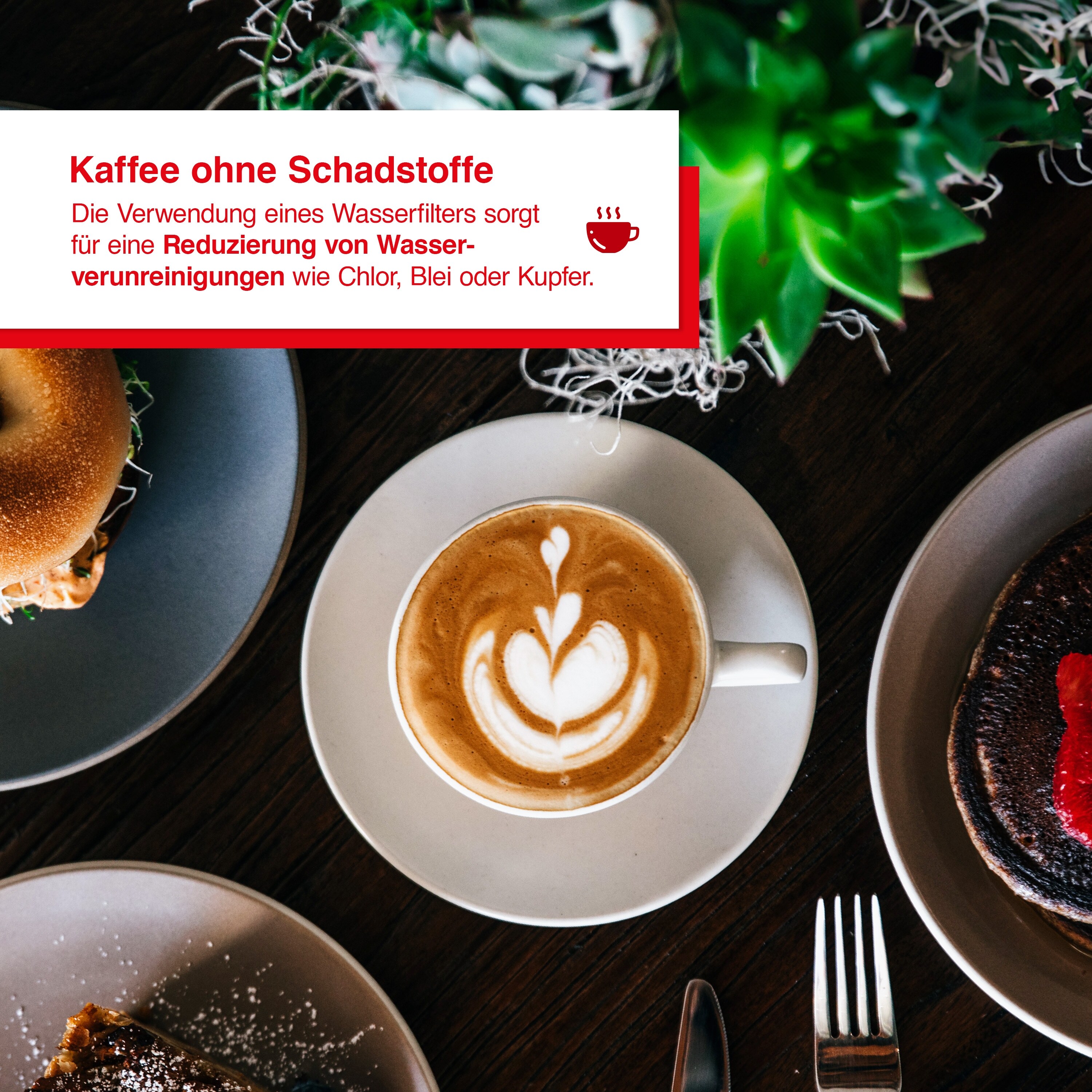 Solis Ersatz-Entkalkungspatrone für Siebträger Grind & Infuse Compact