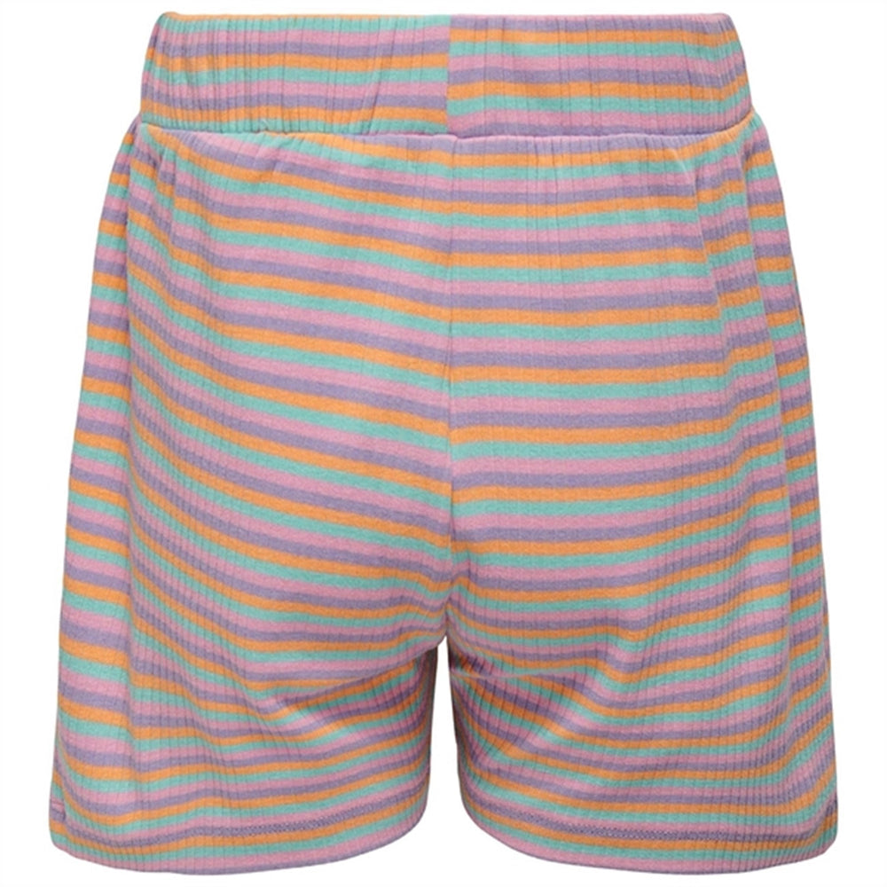 Purple Rose Amelia Multistripe Shorts