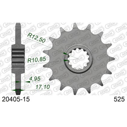 Kit chaine AFAM 525 Type Acier