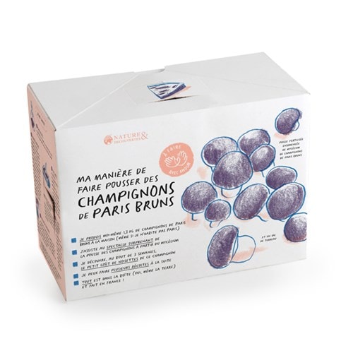 Kit champignons de Paris bruns