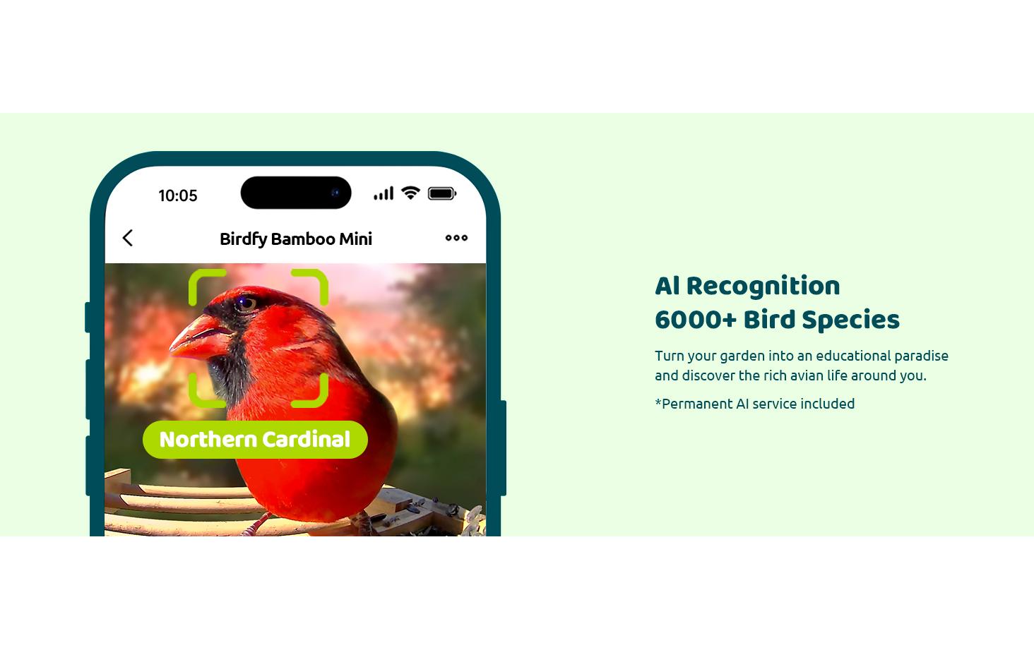 Futterspender FSC Bambus Mini Solar<br>Vogelfutterspender mit Kamera und Lifetime AI