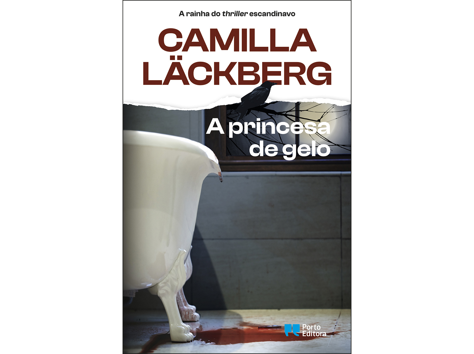 A PRINCESA DE GELO