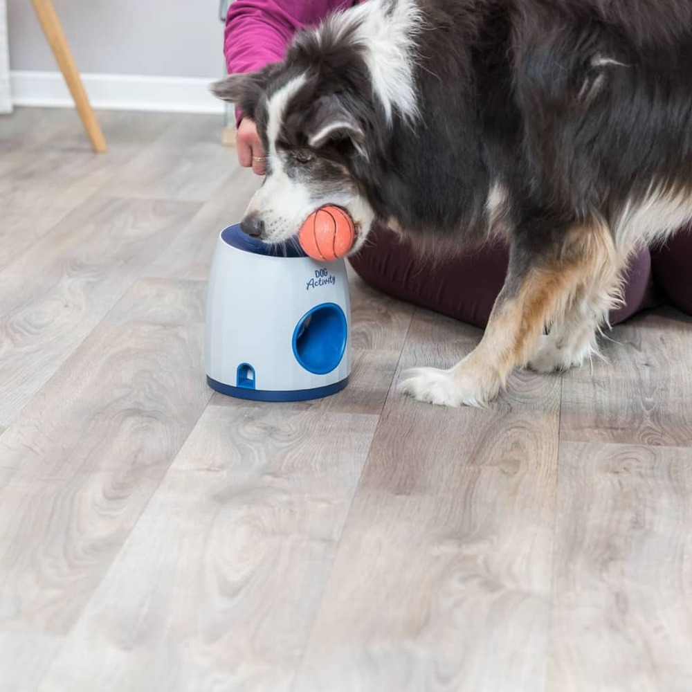 Balle d'activité chien 2-en-1 et jeu de stratégie de friandises