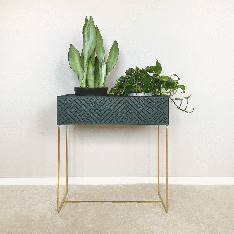 Nevi the plantbox Tannengrün, Gold L