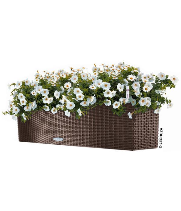 LECHUZA® Kunststoff-Kasten Balconera Cottage,