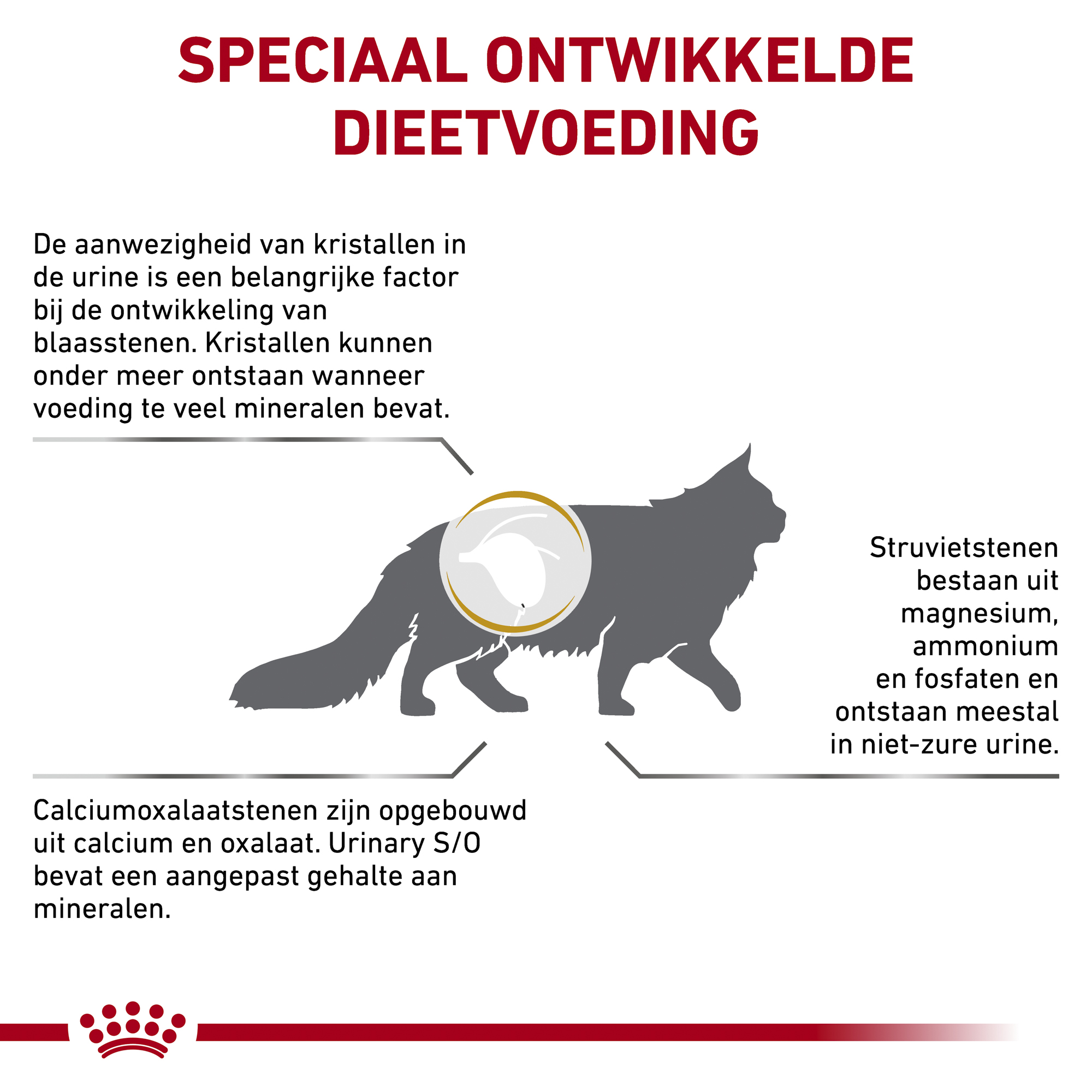 Royal Canin Urinary S/O Kat