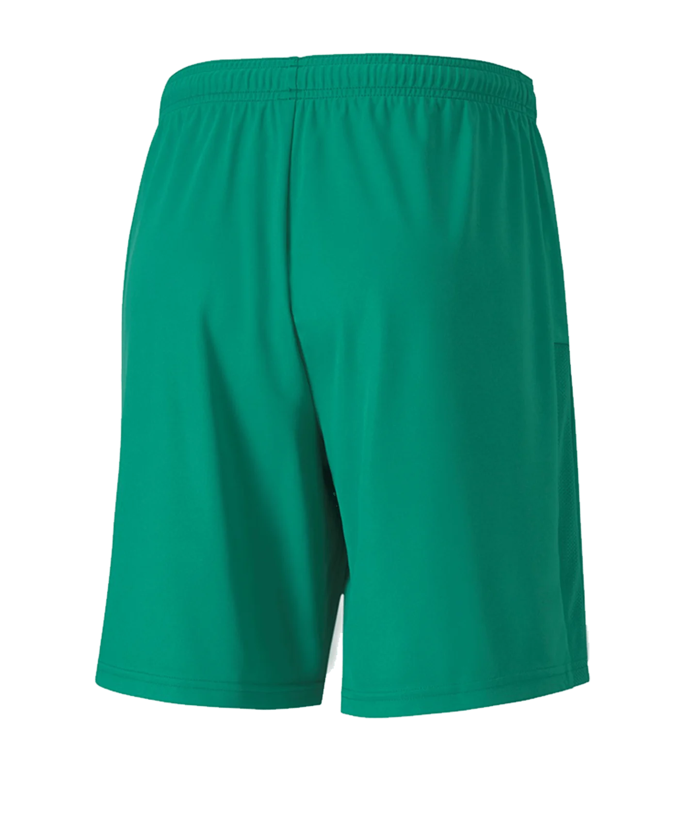 PUMA teamGOAL 23 Knit Short Grün F05
