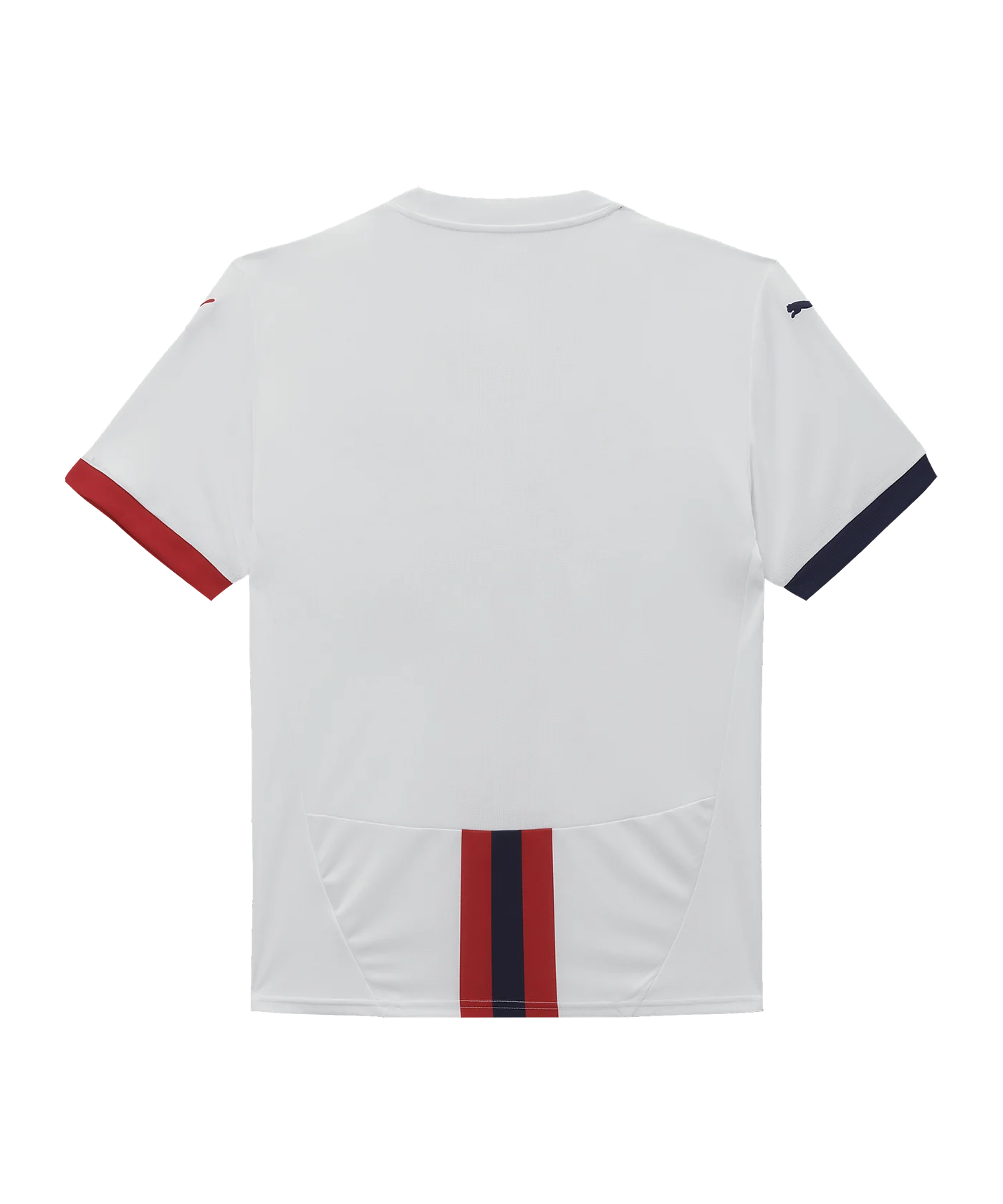 PUMA SK Rapid Trikot Away 2024/2025 Kids F02