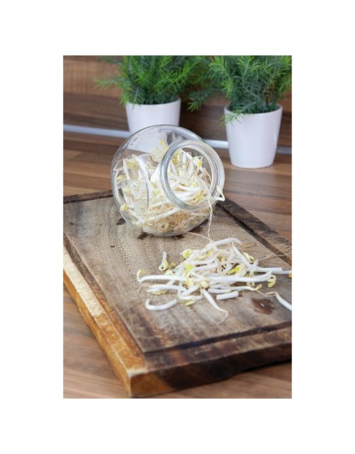 Buzzy Organic Sprouting Pot Tauge  Bio - Groentezaden - 10 g