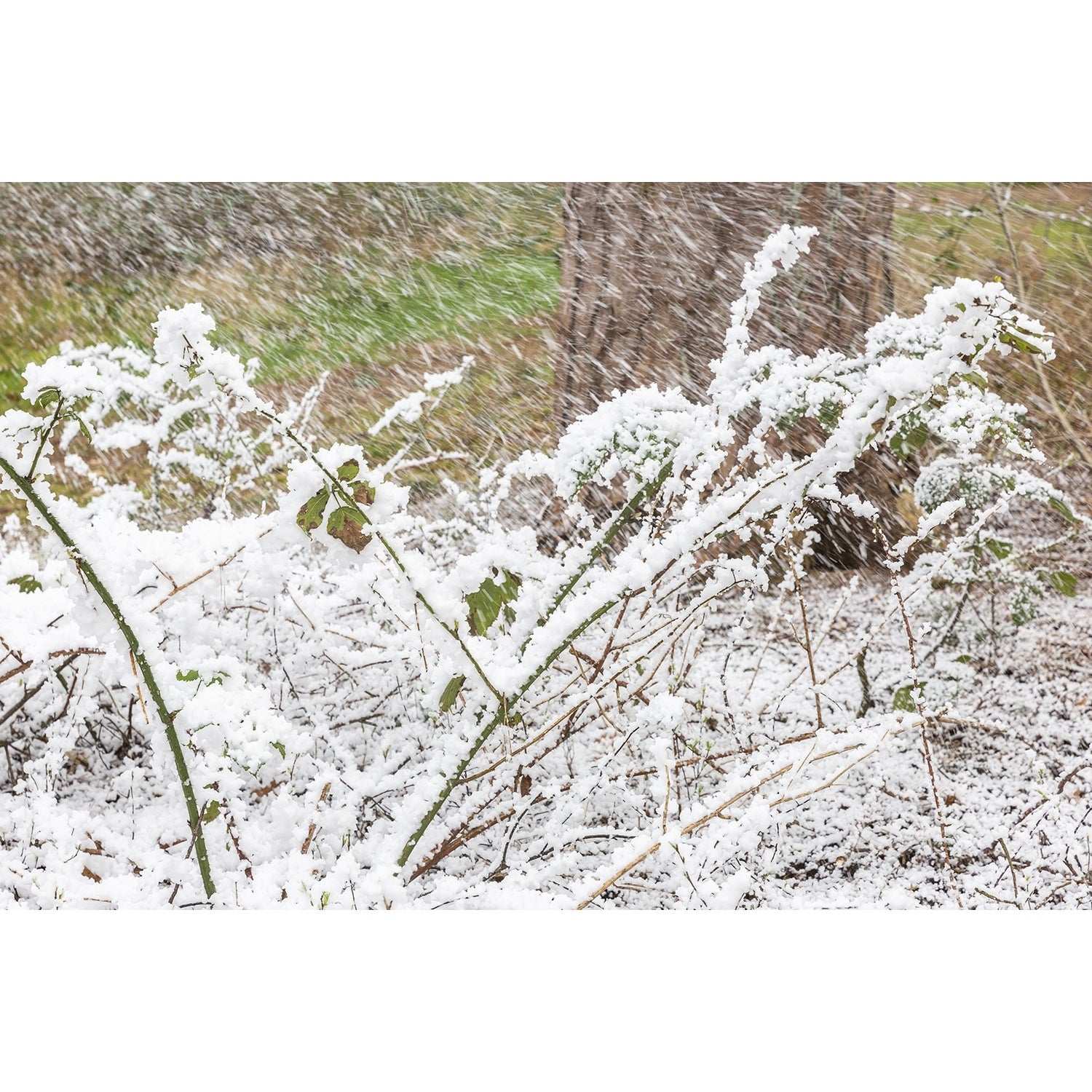 BeamZ SNOW5000 sneeuwmachine