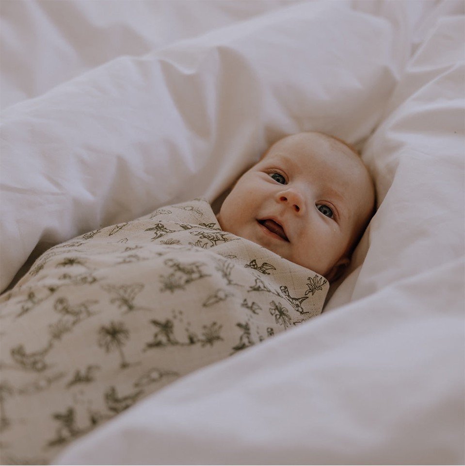 That's Mine - Jana muslin swaddle - Dino esta