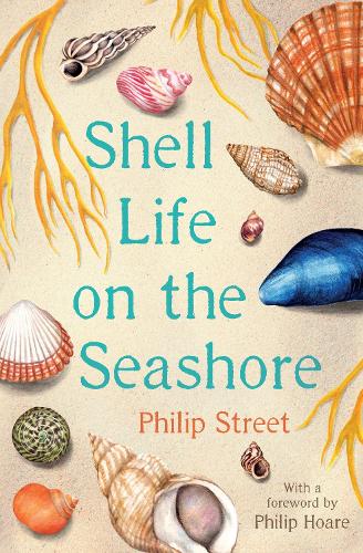 Shell Life on the Seashore (Paperback)