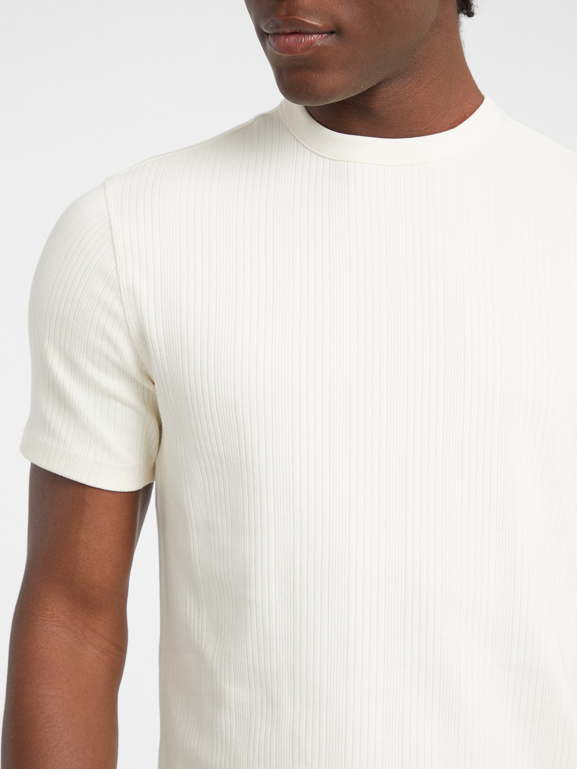 Camiseta Slim Variegated Rib