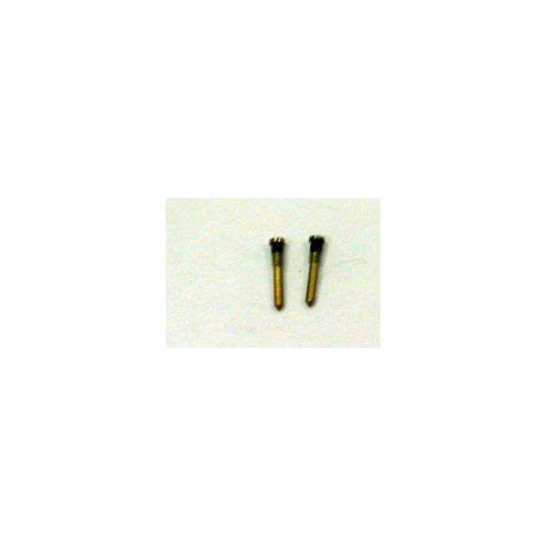 Kit 2 Parafusos para iPhone 11 Pro A2160 A2215 A2217 Gold