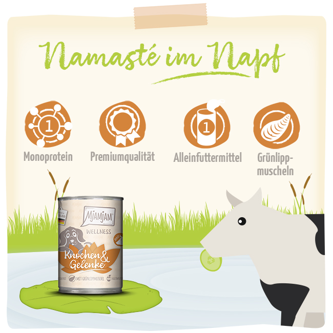 Wellness - Knochen & Gelenke - Rind