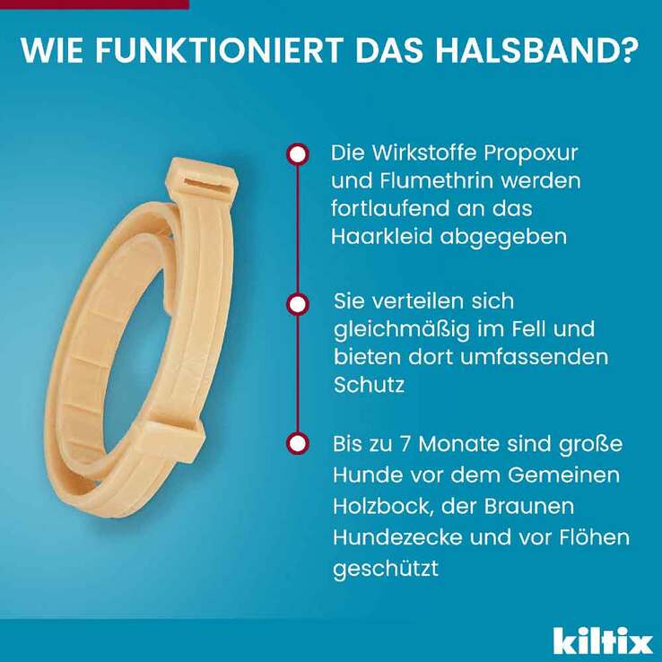 Kiltix für große Hunde Halsband, 1 St