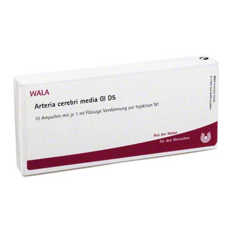 Arteria Cerebri Media GL D 5 Ampullen, 10X1 ml